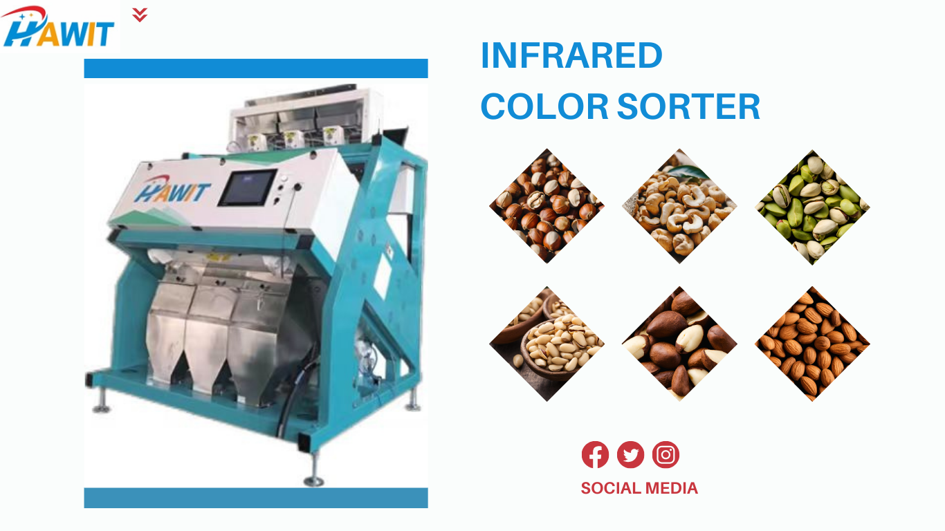 Specific Applications of Color Sorter in the Nut Industry