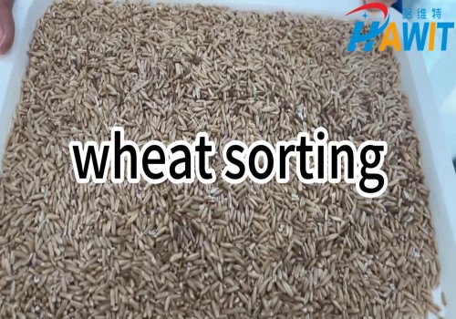 Infrared Color Sorter: Wheat Sorting