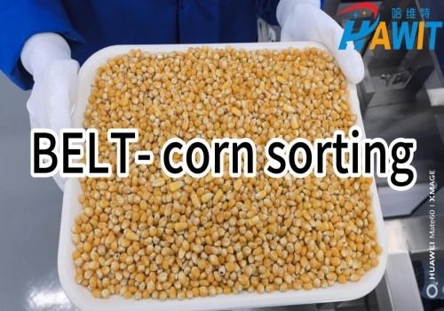 Belt Color Sorter: Corn Sorting---round ones go to storage, square ones are cleared away