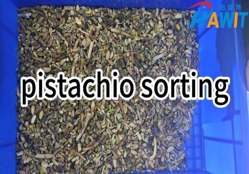 Clasificadora de color por cinta HAWIT: clasificación de pistachos.