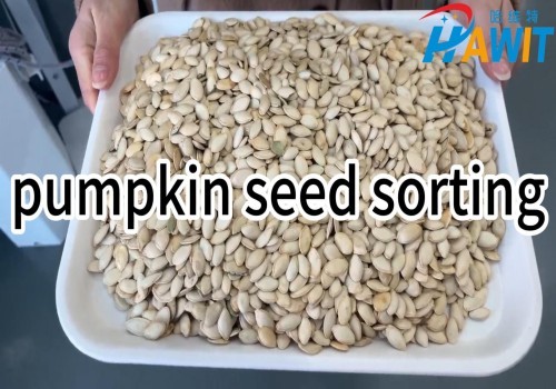 Clasificador de colores mediante IA de aprendizaje profundo: clasificación de semillas de calabaza.