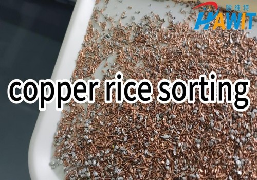 Clasificador de color de cinta: ¡Experto en la purificación de arroz con cobre!