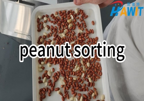 Mini clasificadora de colores: experta en la clasificación de cacahuetes, precisa y eficiente.