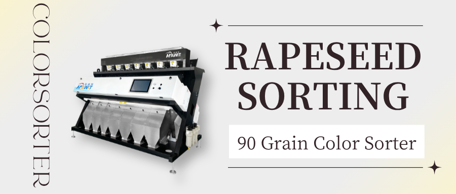 Clasificadora de color de grano de 90 canales --- Clasificación de colza: Alto rendimiento, alta precisión, captura de granos descoloridos e impurezas de una sola vez.