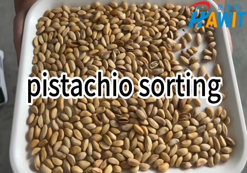 AI HD Multi-View Color Sorter: pistachio sorting