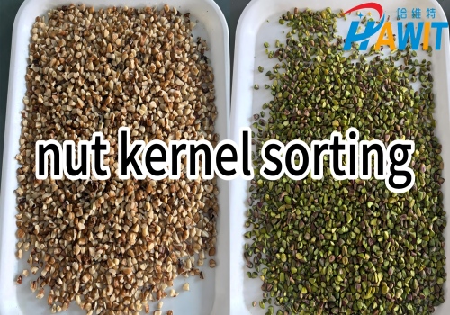 AI HD Deep Learning Color Sorter: nut kernel sorting --- pistachio+walnut