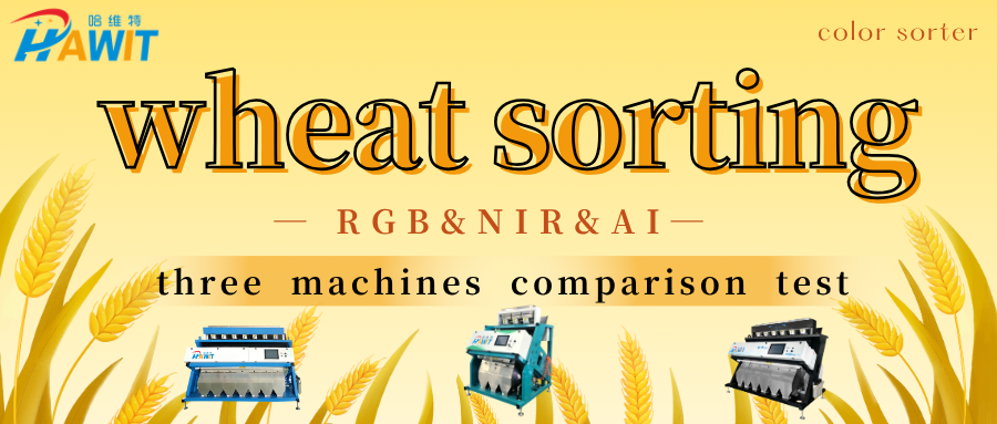 Prueba comparativa de clasificación de trigo | RGB vs. NIR vs. IA – Análisis de rendimiento