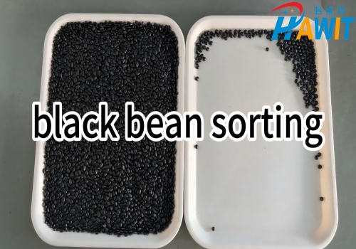 AI HD Deep Learning Color Sorter: Same-color Sorting --- Black Bean Roundness Selection