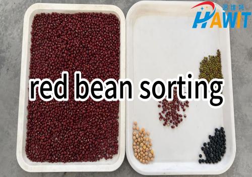 AI HD Multi-View Color Sorter：red beans sorting